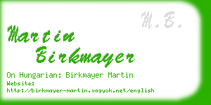 martin birkmayer business card